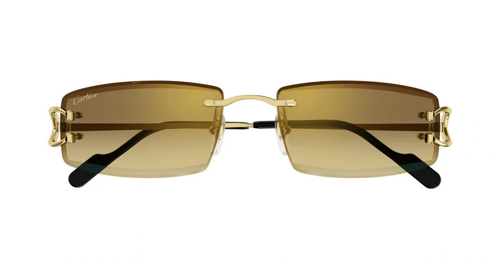 Cartier Sunglasses CT0465S-004